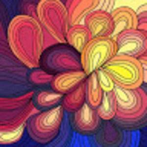 Meet your Posher, Dena